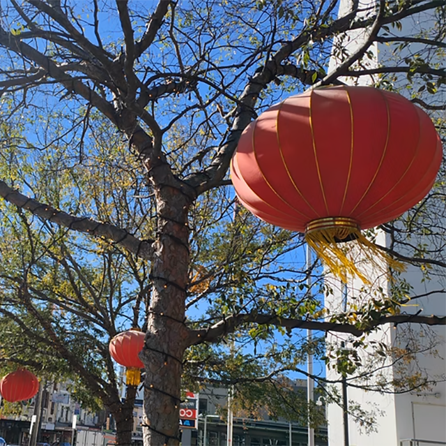 986_9282_08Jan2025161029_Lanterns image 640px x 640 px.png